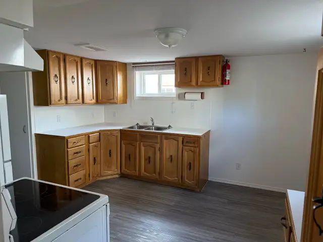 BRIGHT NORTHSIDE ONE BEDROOM BASEMENT SUITE/ JUNE 1st $1200 - Photo 4