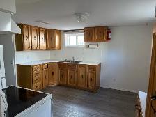 BRIGHT NORTHSIDE ONE BEDROOM BASEMENT SUITE/ JUNE 1st $1200 - Photo 4