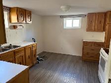 BRIGHT NORTHSIDE ONE BEDROOM BASEMENT SUITE/ JUNE 1st $1200 - Photo 5