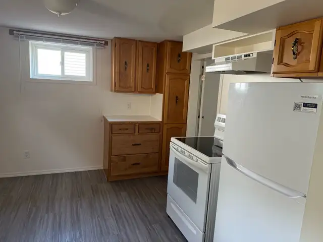 BRIGHT NORTHSIDE ONE BEDROOM BASEMENT SUITE/ JUNE 1st $1200 - Photo 8