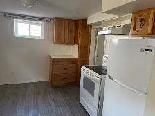 BRIGHT NORTHSIDE ONE BEDROOM BASEMENT SUITE/ JUNE 1st $1200 - Photo 8