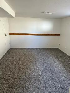 BRIGHT NORTHSIDE ONE BEDROOM BASEMENT SUITE/ JUNE 1st $1200 - Photo 9