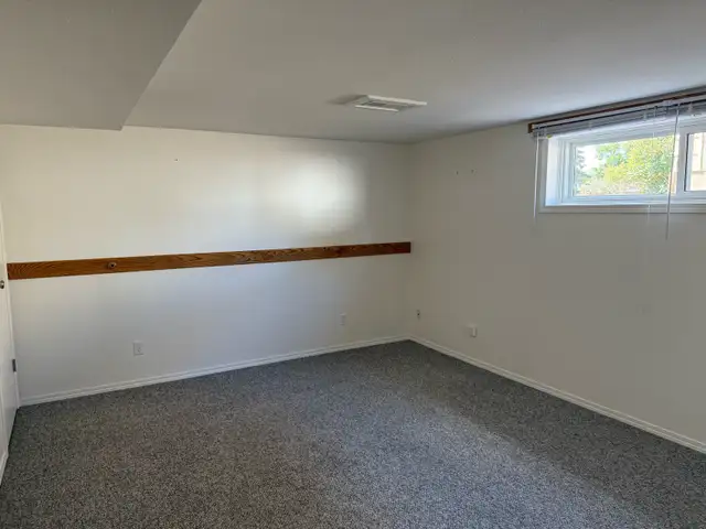 BRIGHT NORTHSIDE ONE BEDROOM BASEMENT SUITE/ JUNE 1st $1200 - Photo 10