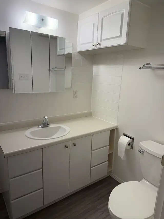 BRIGHT NORTHSIDE ONE BEDROOM BASEMENT SUITE/ JUNE 1st $1200 - Photo 13