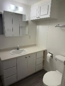BRIGHT NORTHSIDE ONE BEDROOM BASEMENT SUITE/ JUNE 1st $1200 - Photo 13