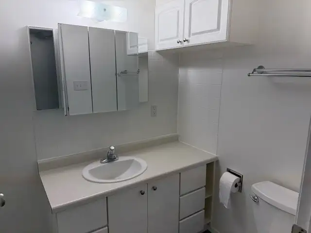 BRIGHT NORTHSIDE ONE BEDROOM BASEMENT SUITE/ JUNE 1st $1200 - Photo 14