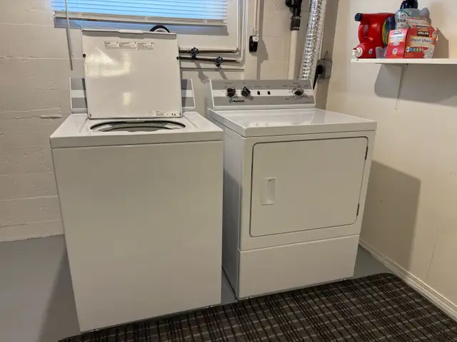 BRIGHT NORTHSIDE ONE BEDROOM BASEMENT SUITE/ JUNE 1st $1200 - Photo 19