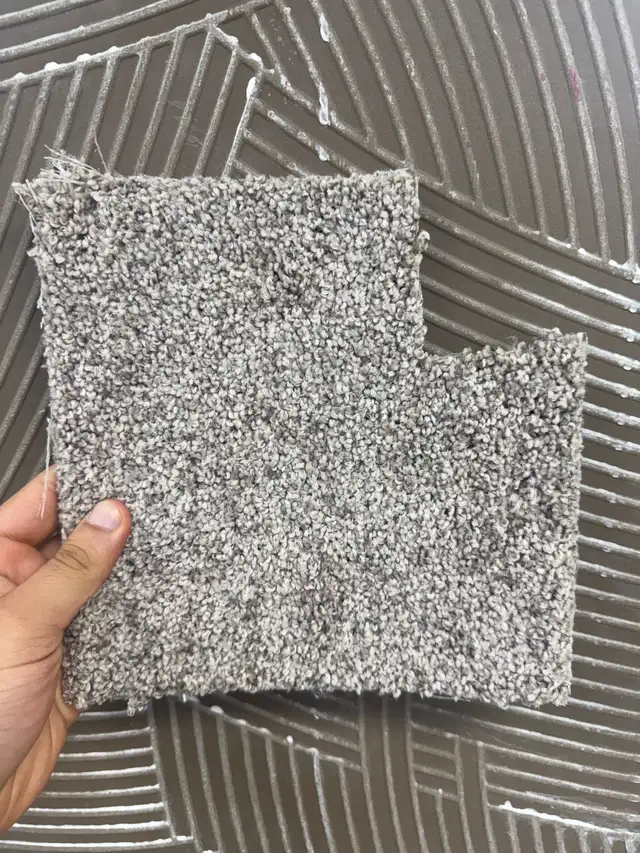 carpet supply & installed $3.59/sf