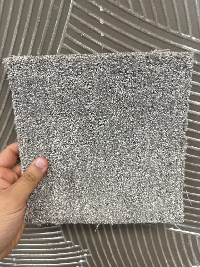 carpet supply & installed $3.59/sf - Photo 2