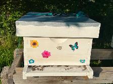 Complete Bee Hive – with Healthy Honey Bees
