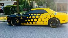 3M Car Decals - Photo 8