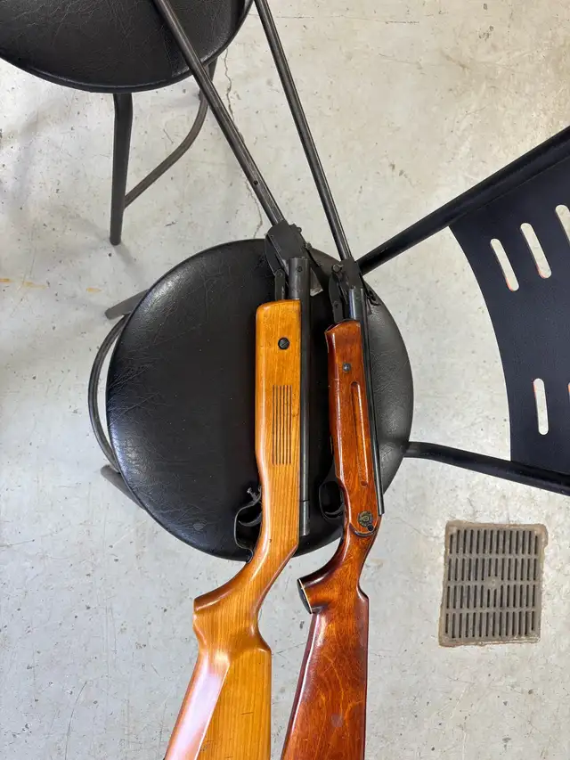 carabine à plombs - Photo 2