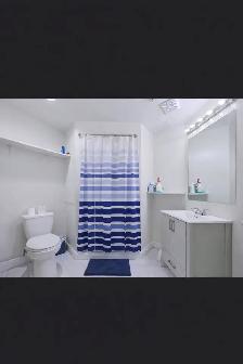 Basement Apartment - Photo 4