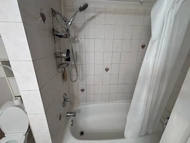 Student room- Apartment in Kensington Market! - Photo 4