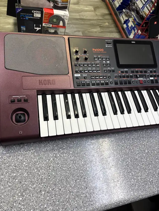 Korg PA1000 Arranger Professional Keyboard - Photo 2