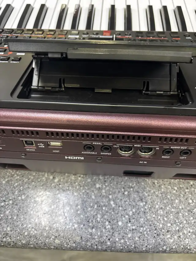 Korg PA1000 Arranger Professional Keyboard - Photo 6