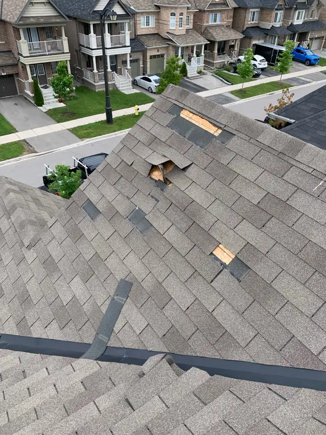 roof services