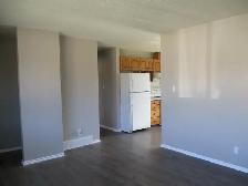 4 Bedroom Home for Rent in Confederation - Photo 4