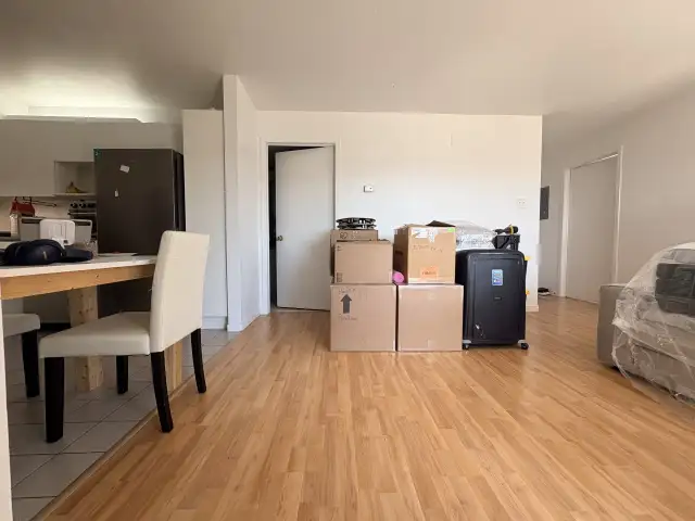 Appartement 4 ½ à louer Lévis mai 2026 - Photo 2