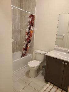 $550 - Room for rent (L7A 5A7) -