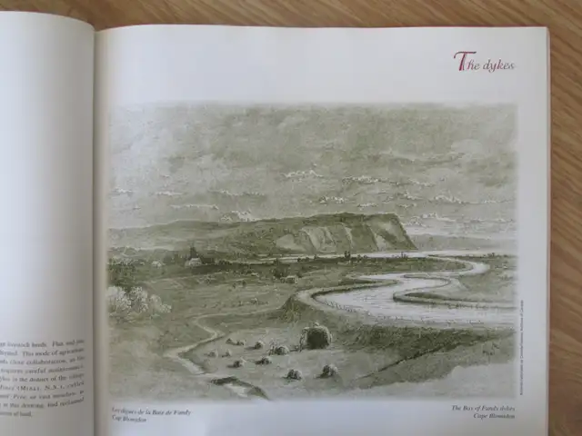 ACADIE - ESQUISSES D'UN PARCOURS by Cecile Chevrier - 1994 SC - Photo 7