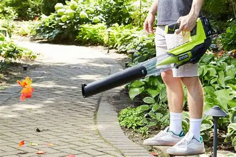 HOME & GARDEN  YARD CLEANUP  INDOOR CLEANING - Photo 2