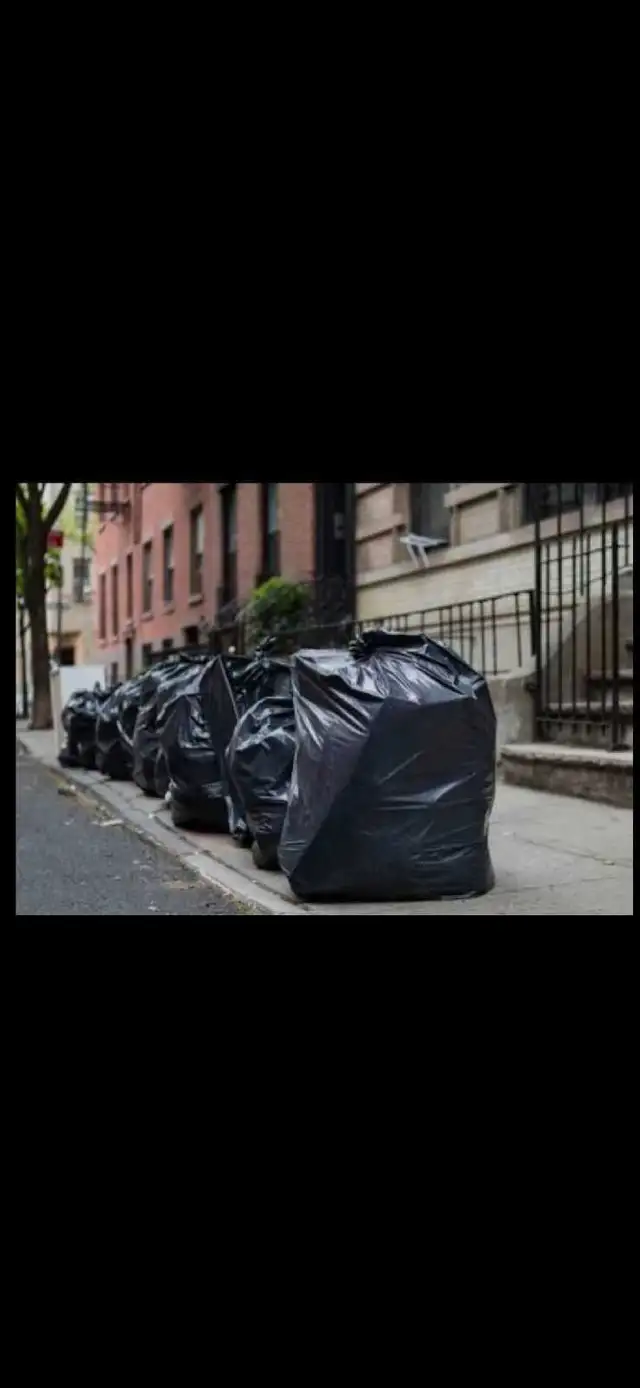 Cleaning, Bringing Garbage Bags Out to the Dumpster - Photo 2