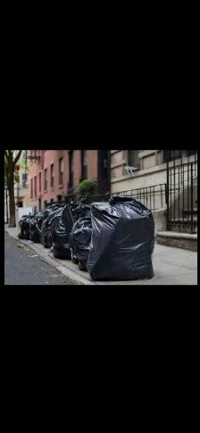 Cleaning, Bringing Garbage Bags Out to the Dumpster - Photo 2