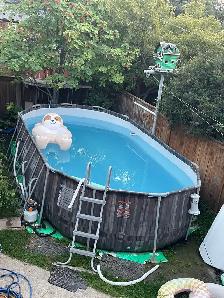 Bestway Above Ground Pool