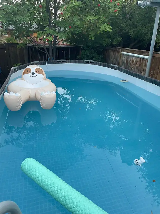 Bestway Above Ground Pool - Photo 5