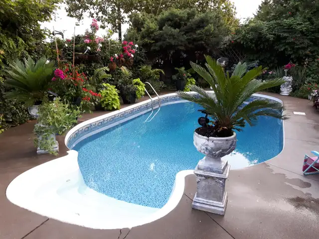 Queensize private room in exe home  Traf upper middle - Photo 4