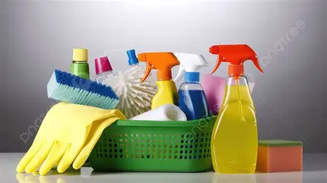 K-W PERSONAL ASSISTANT  HOUSE CLEANER, etc. - Photo 3