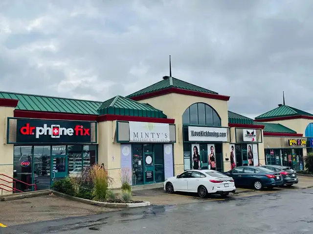 All kind of Accessories, Cases, Screen Protectors - Photo 4