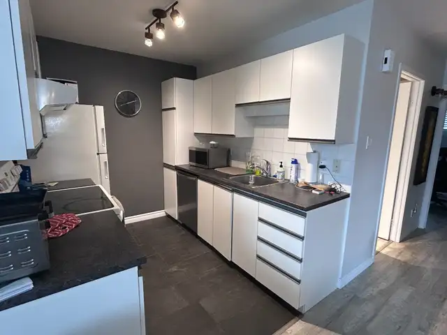 Lévis  Grand 4 1/2 pour juillet - Photo 3