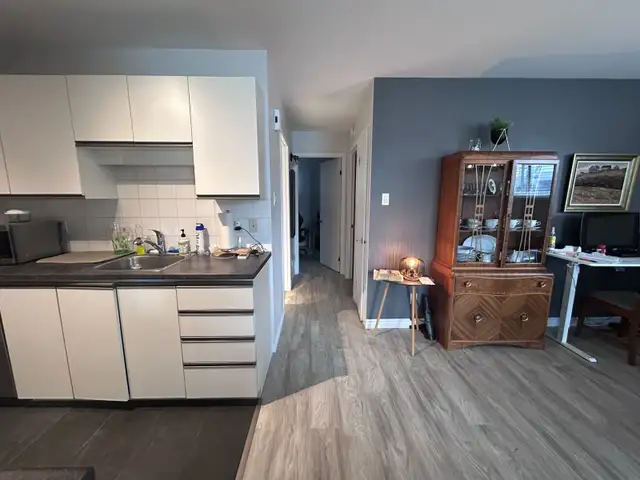 Lévis  Grand 4 1/2 pour juillet - Photo 5