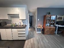 Lévis  Grand 4 1/2 pour juillet - Photo 5