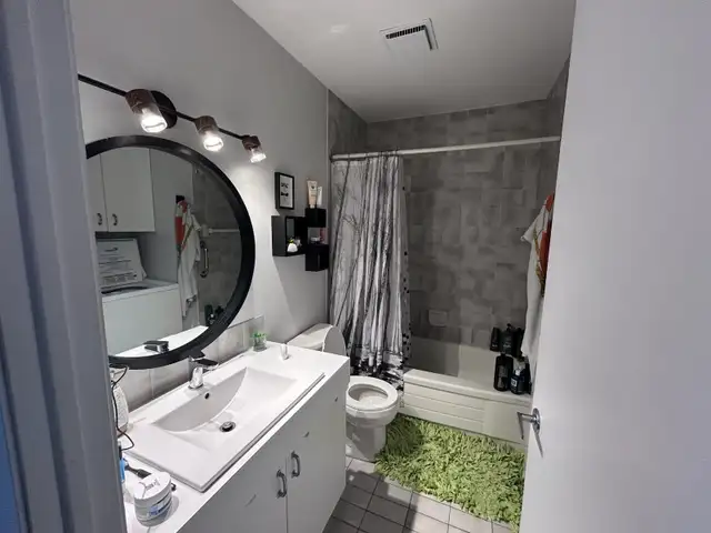 Lévis  Grand 4 1/2 pour juillet - Photo 6