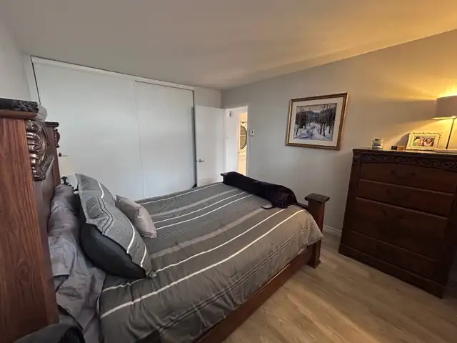 Lévis  Grand 4 1/2 pour juillet - Photo 8