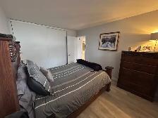 Lévis  Grand 4 1/2 pour juillet - Photo 8