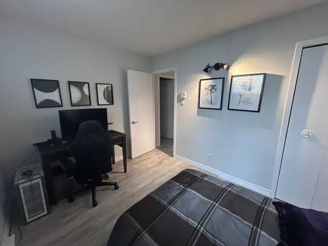 Lévis  Grand 4 1/2 pour juillet - Photo 10