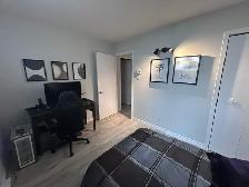 Lévis  Grand 4 1/2 pour juillet - Photo 10