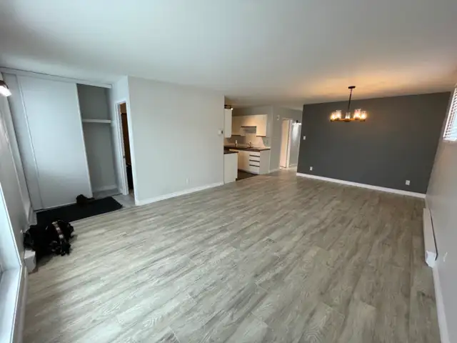 Lévis  Grand 4 1/2 pour juillet - Photo 13