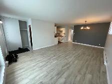 Lévis  Grand 4 1/2 pour juillet - Photo 13