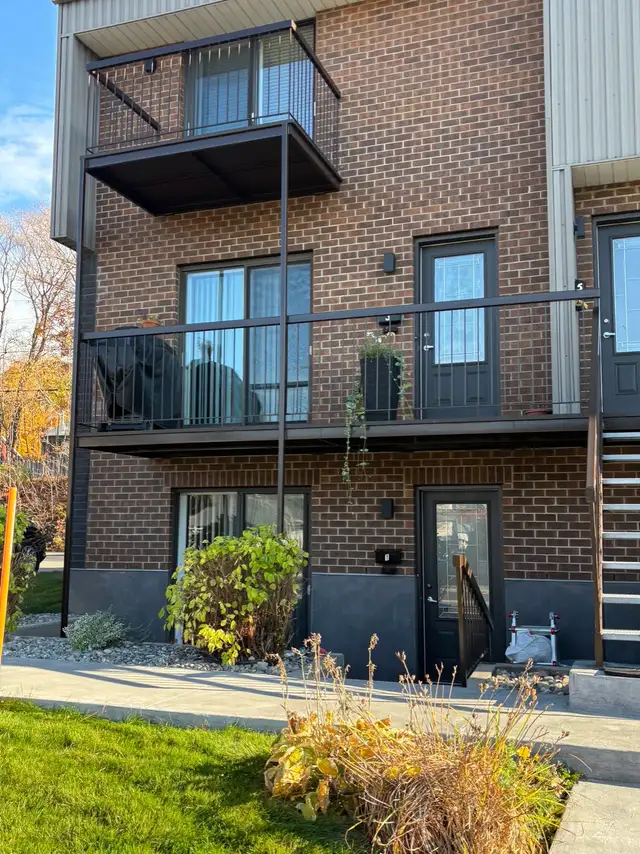 Lévis  Grand 4 1/2 pour juillet - Photo 14