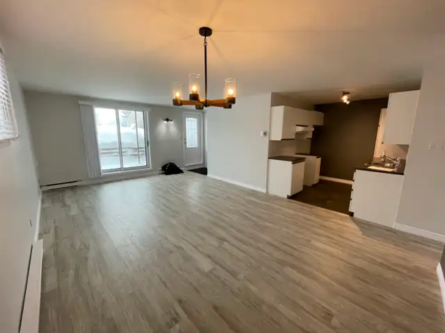 Lévis  Grand 4 1/2 pour juillet - Photo 15