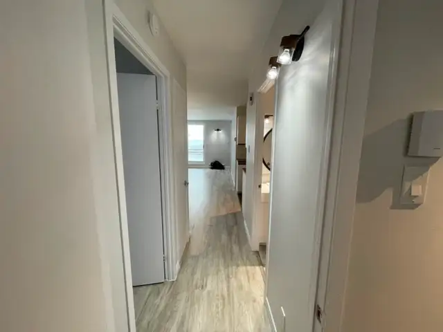 Lévis  Grand 4 1/2 pour juillet - Photo 18