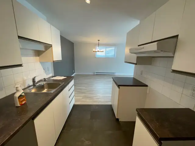 Lévis  Grand 4 1/2 pour juillet - Photo 19