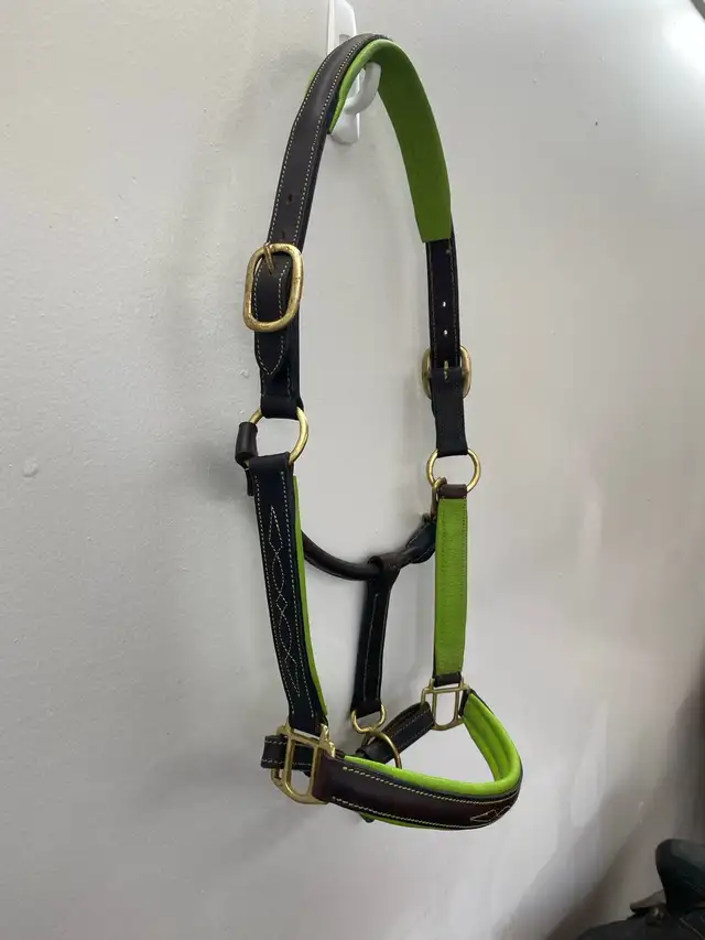 Halters available!