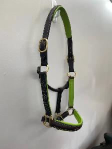 Halters available!