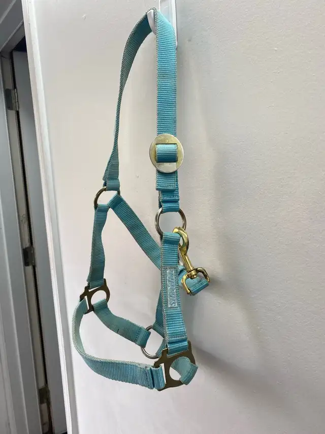 Halters available! - Photo 3